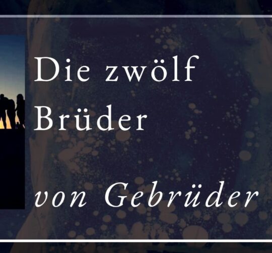 Beitragsbild Podcast Grimms Märchen 009 Die zwölf Brüder. Von den Gebrüdern Grimm, Design SissiSorglos Sprecher Markus alias LuposFun