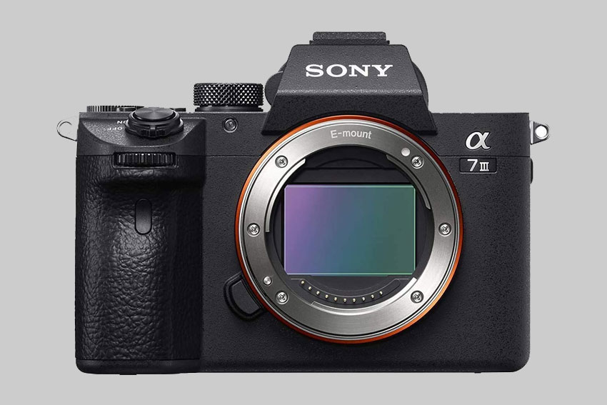 Beitragsbild für Wiki Kameras spiegellose Systemkameras DSLM Sony alpha 7 Wechselobjektiv, Vollformat BildsensorBridge-Kameras, Kompaktkameras Panasonik Lumix