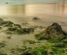 Irish Shoreline ALT
