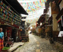Chinese Market ALT